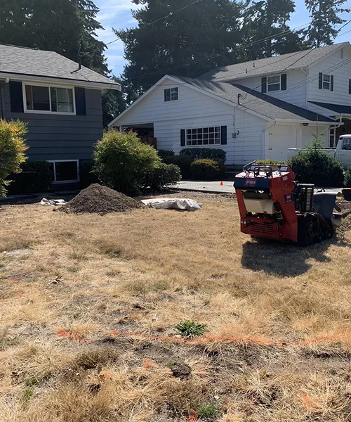 Irrigation systems, concrete curbs, plant design, and landscape rocks with grass seed in Fircrest 